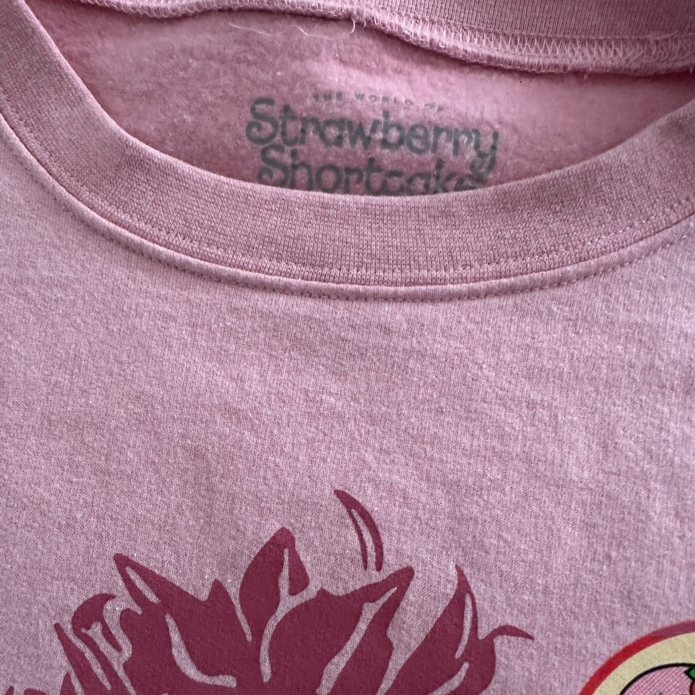 Pink Strawberry Shortcake Graphic Sweatshirt - Picture 3 of 10
